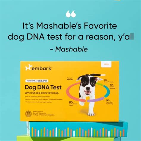 Embark Breed Identification Kit Most Accurate Dog Dna Test Test 350