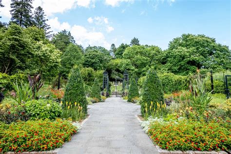 Visiting Morris Arboretum In Philadelphia Guide To Philly