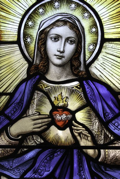 Immaculate Heart Of Mary O God Who Prepared A Fit Dwelli Flickr