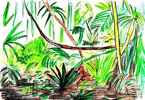Easy Rainforest Drawing For Kids Allow Your Child To Play Around With