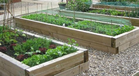 That's why it makes sense to grow your vegetable garden in raised beds! Raised Bed Vegetable Garden Guide - Wilson Rose Garden