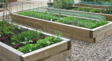 If you have an existing raised bed and find that you're battling tree roots every year, you may have to excavate the soil, install the barrier, and refill with the soil. Raised Bed Vegetable Garden Guide - Wilson Rose Garden