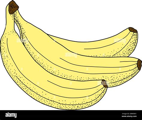 Bananas Vector Vectors Hi Res Stock Photography And Images Alamy