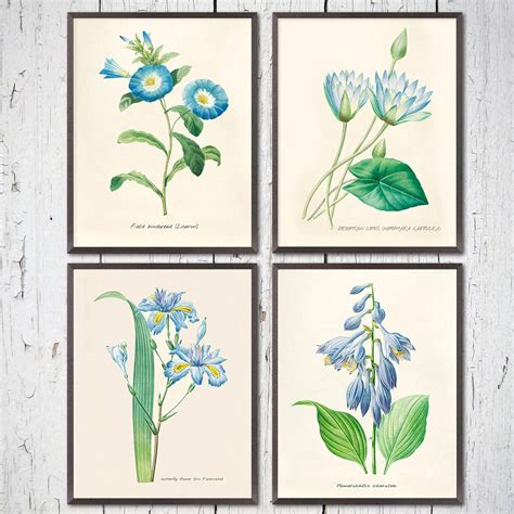 Blue Botanical Print Set Of 4 Blue Floral Decor Vintage Etsy In 2020