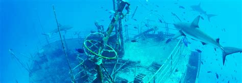 Top Shipwrecks To Dive In The Bahamas Hgchristie