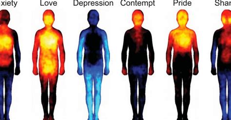 Look How Body Temperature Changes When Youre In Love Or