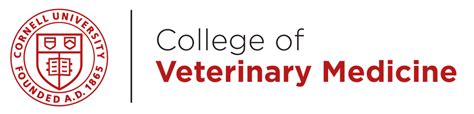 Strategic Plan 2024 2028 Cornell University College Of Veterinary Medicine