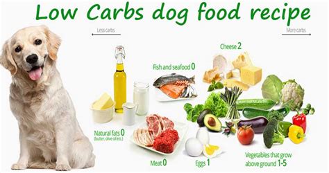 Low fat dog food recipes. Low carb dog food recipe-Is a low carb diet good for dogs ...