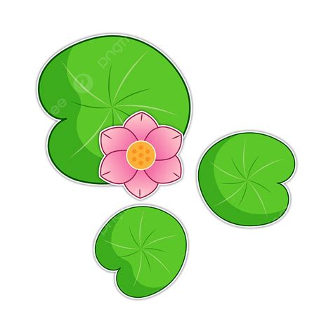 Water Lily Flower Clipart Transparent Png Hd Cute Pink Water Lily