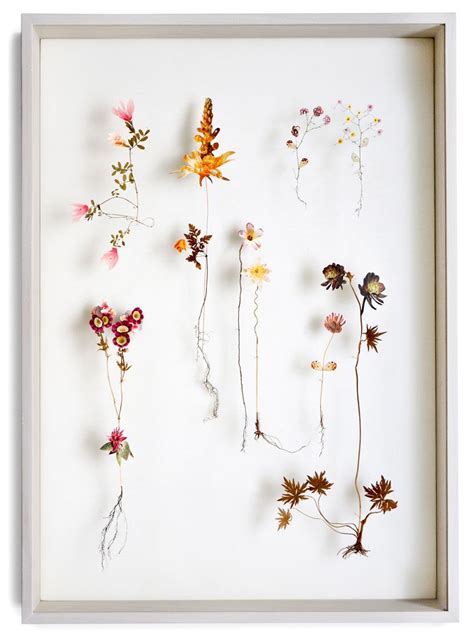 Delicate Flower Constructions By Anne Ten Donkelaar Arte De Flor
