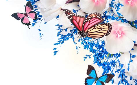 69 Desktop Backgrounds Butterflies On Wallpapersafari