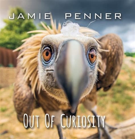 How should i know what he means? Out Of Curiosity - CD - Jamie Penner - Out Of Curiosity