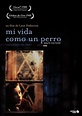 MI VIDA COMO UN PERRO (DVD)