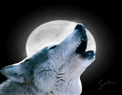 Wolf Howling At The Moon By Crystal Syns On Deviantart