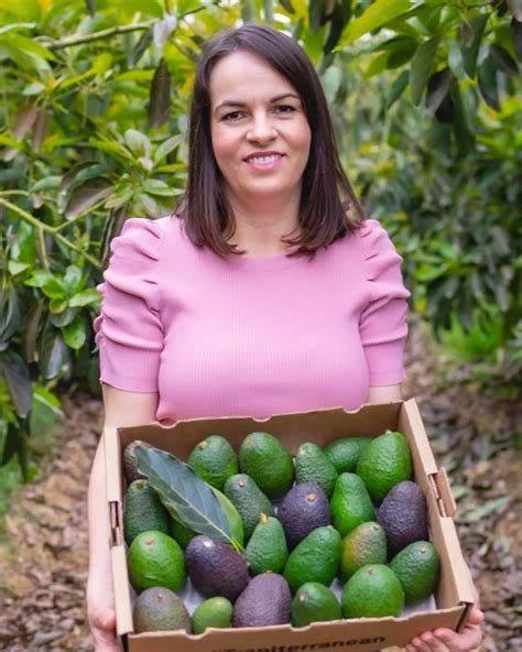 Organic Avocados From Dehesa De Cútar Spain Crowdfarming Farm Fresh