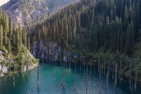 Aerial Footage Of Kaindy Lake And Sunken Forest In Kazakhstan Stock