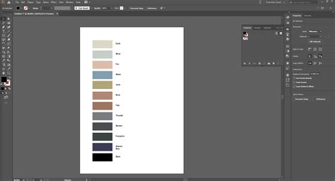 How To Import A Color Palette Ase From Illustrator Into Clo How