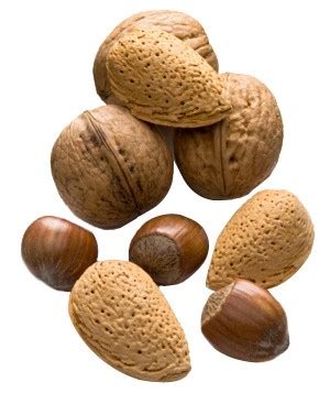 A nut is a type of fastener. Common Types of Nuts - Real Simple