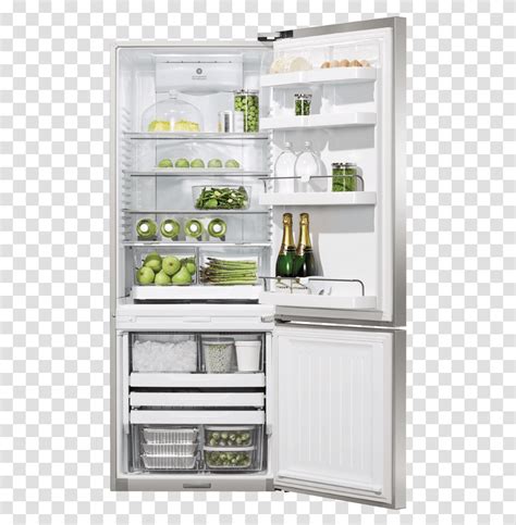 Fisher Paykel Shelf Refrigerator Appliance Pantry Transparent