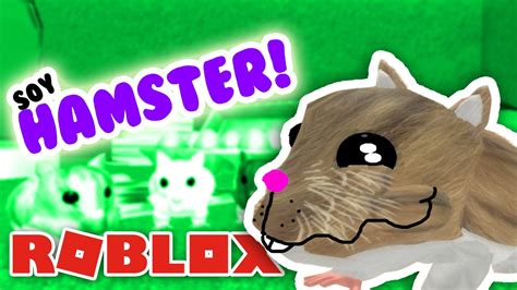 Soy Un Hamster Hamster Simulator Roblox En Español Youtube