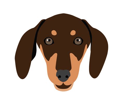Beady Eyed Dachshund Dog Face Vector By Digitemb On Dribbble