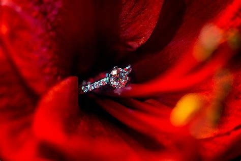 Engagement Ring By Irina Lackmann Photography Photo
