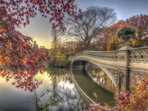 Bow Bridge Central Park Autumn Stock Image Image Of City Heritage