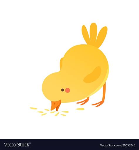 Cute Baby Chicken Pecking Grain Funny Cartoon Bird Character Vector