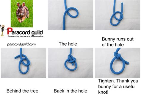 How To Tie A Bowline Knot Diagram