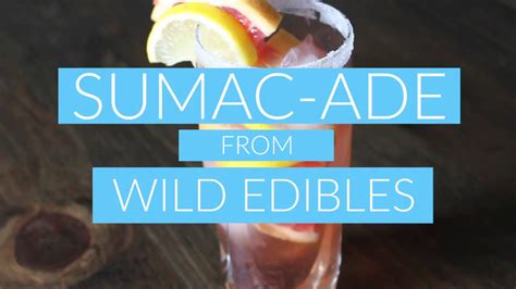 Sumac Ade Recipe Wild Edibles Youtube