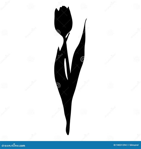 Monochrome Black Tulip Spring Flower Silhouette Isolated Vector Stock