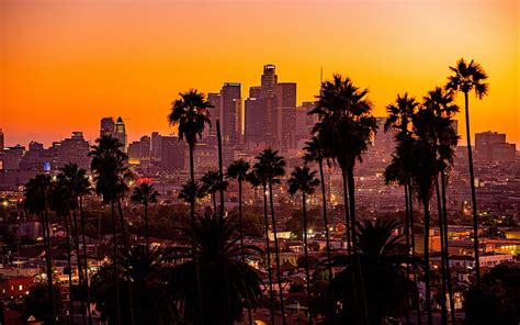los Ángeles california carretera palmeras puesta de sol 4k fondo de pantalla hd