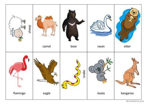 Animal Memory Game English Esl Powerpoints