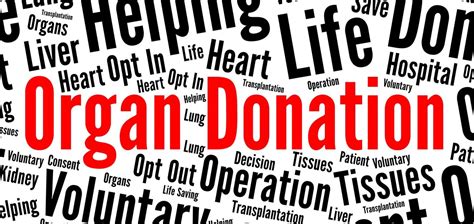 10 Facts About Organ Donation Uofl Health