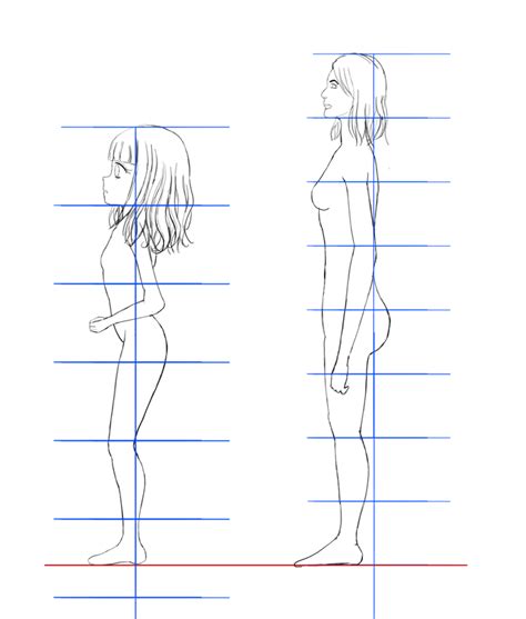 Introduction To Drawing Proportions And How To Get It Right With