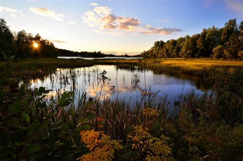 Free Images Landscape Nature Marsh Wilderness Sun Sunrise