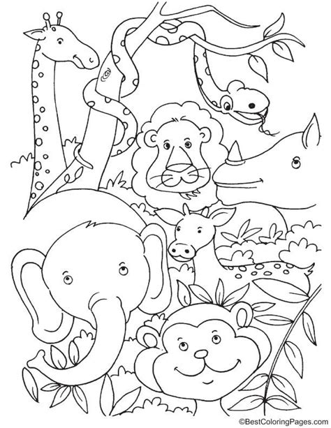 Rainforest Coloring Pages W Animals
