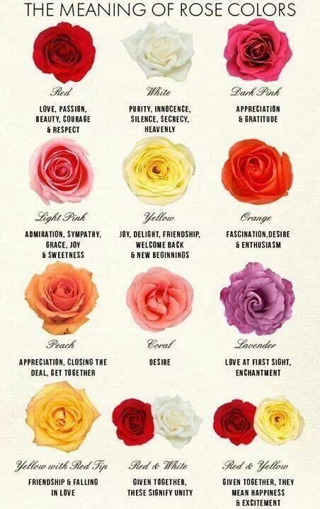 The Meaning Of Rose Colors Rose Color Meanings Flower Meanings Rose Meaning