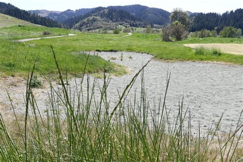 Myrtle Creeks Newest Park Former Golf Course Business