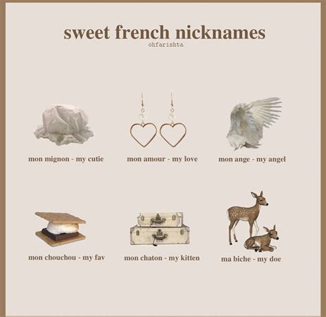 Pin By Lilie On Sssss Cute French Words Cute Nicknames Basic French