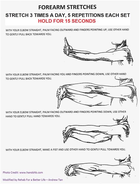 Forearm Stretches Eng Rehab For A Better Life