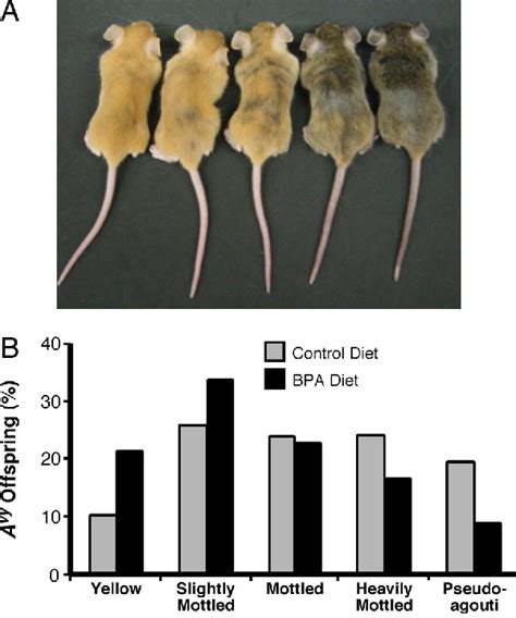 Childhood Central Nervous System Germ Cell Tumor Semantic Scholar