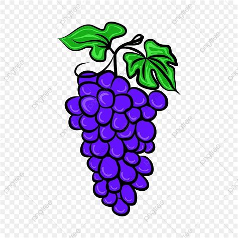 Buah Anggur Cartoon Handrawn Clip Art Anggur Grapes Cartoon Png