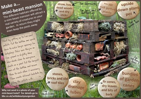 Follow this simple diy repurposing project to build an insect hotel that will attract good insects that are beneficial to your yard and garden! Insect Hotels - Learning Landscapes - Professional Playscape Design in Portland, OR