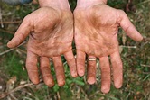 Die schmutzigen Hände 1 Kostenloser Foto-Download | FreeImages