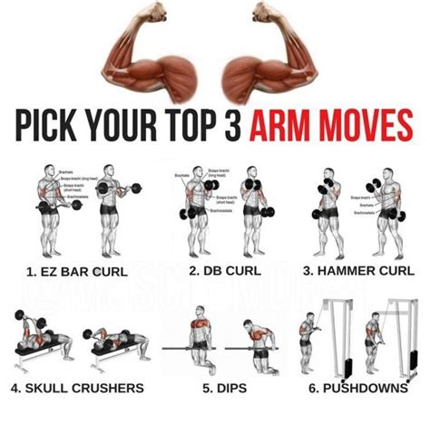 Pick Your Top Arm Moves Bigger Arms Training Plan Big Arm Workout Arm Workout For