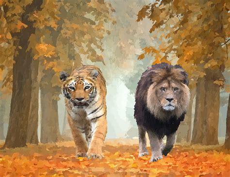 Discover More Than 144 Lion Vs Tiger Drawing Super Hot Vn