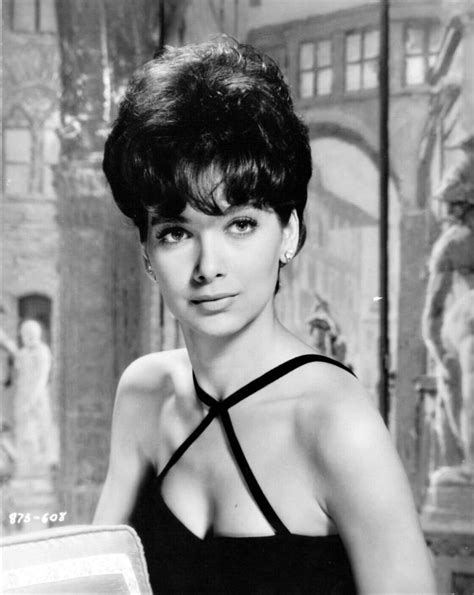 me at the classics meattheclassics twitter suzanne pleshette actresses hollywood actresses