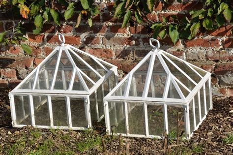 Maximum Yield On Twitter Cloches Hothouses Cold Frames Greenhouses