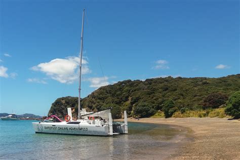 Barefoot Sailing Adventures Catamaran Bay Of Islands Gallery 5 Must